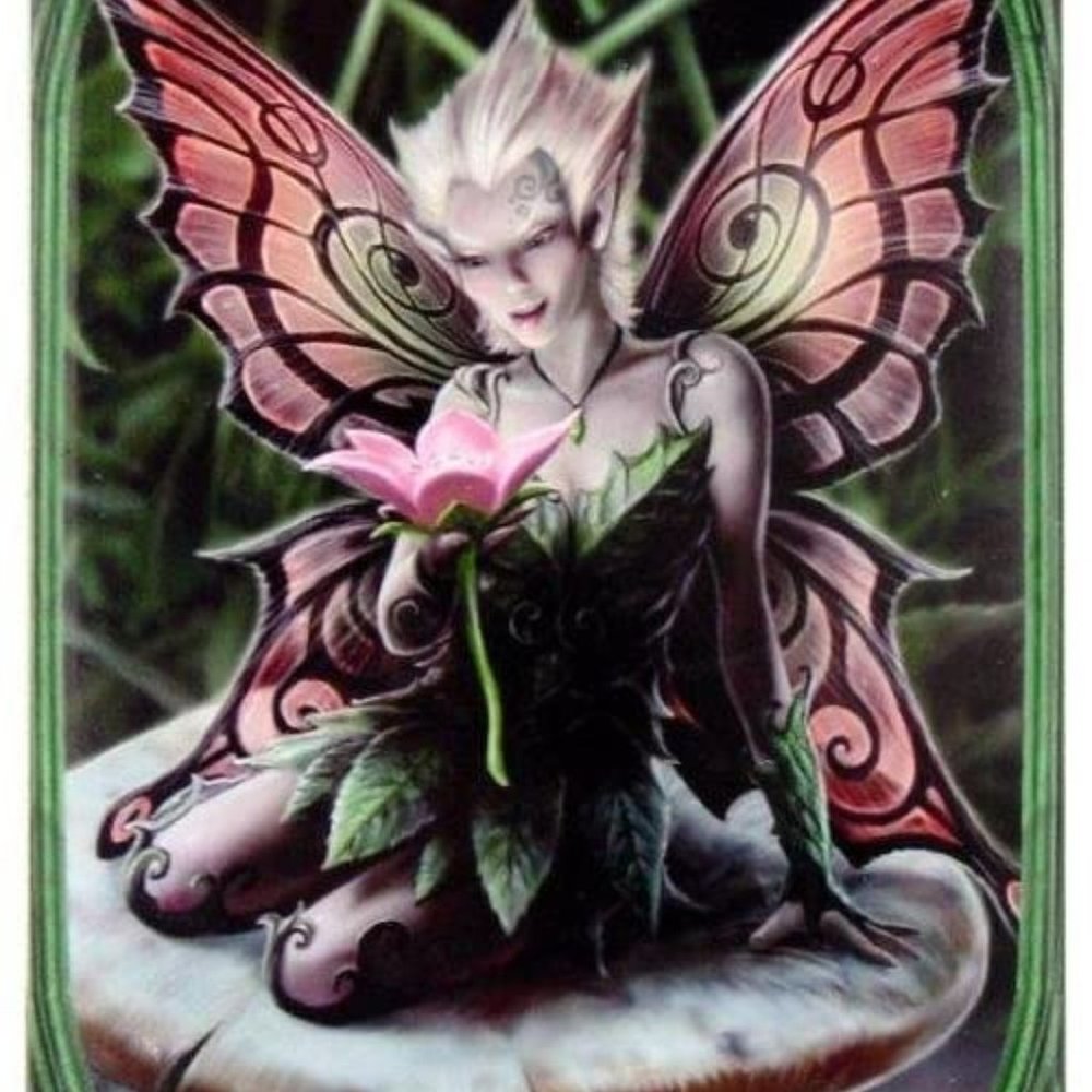 A.C.K. Anne Stokes Designer Decorative Art Tile